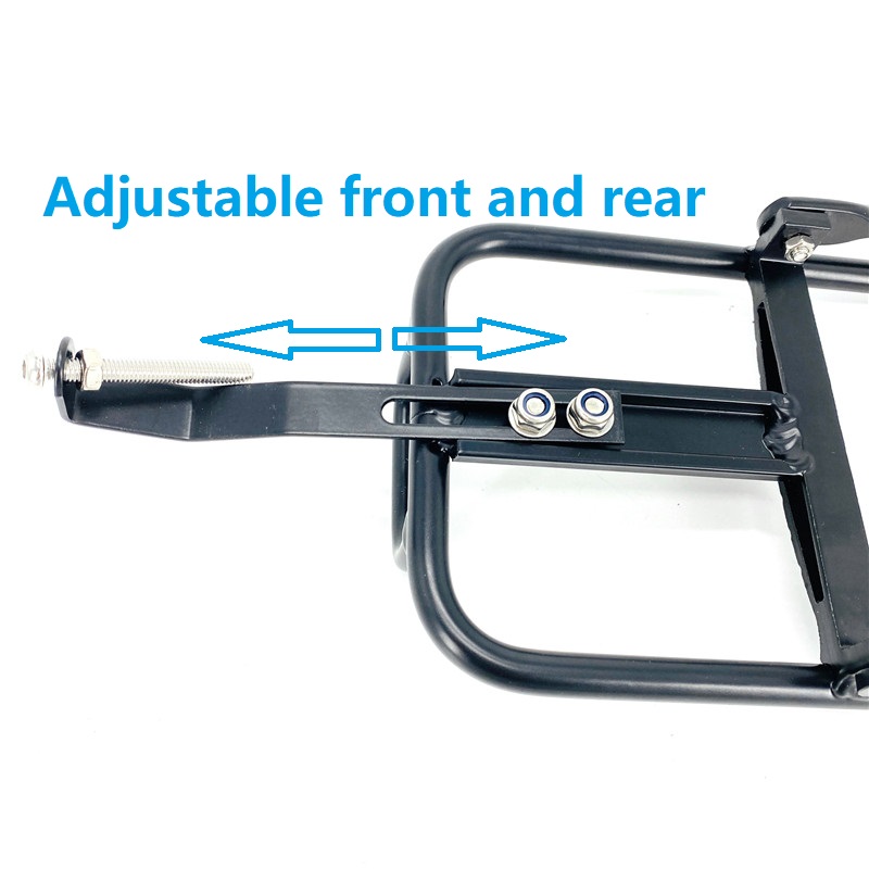 Litepro 14 Inch Xe Đạp Gấp Trư - đánh giá và giá Bike Cargo Rack
